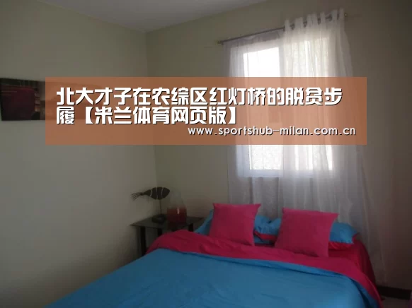 北大才子在农综区红灯桥的脱贫步履【米兰体育网页版】(图2) 米兰体育下载地址