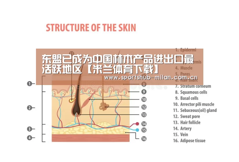 东盟已成为中国林木产品进出口最活跃地区【米兰体育下载】(图2) 米兰体育下载地址